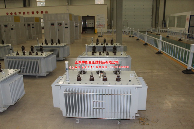 治多S11-8000KVA油浸式变压器